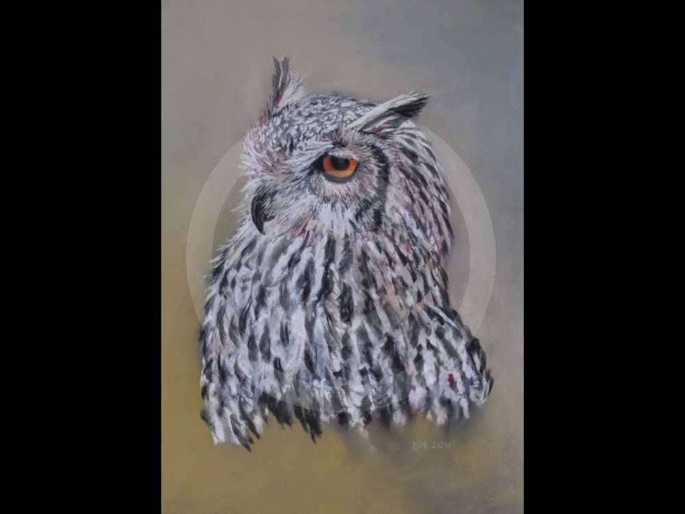 Eagle Owl by David Mapplethorpe