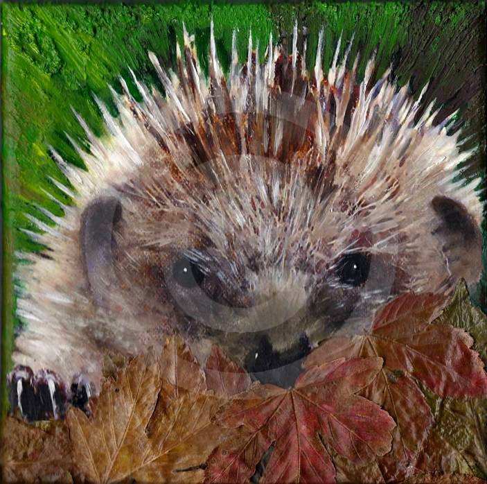 Hedgehog in Autumn Leaves by Teresa Hollins