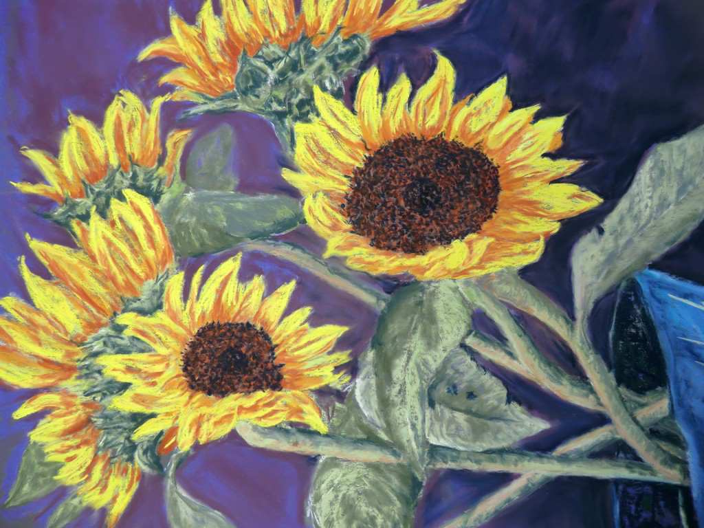 Sunflowers by Duncan Baird