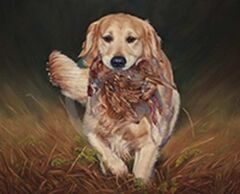 Leif Retrieving at the Shoot by Cath Inglis