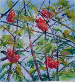 Rowan Berries by Hector Fraser