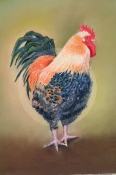 A Fine Specimen by Janet Saxby