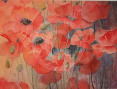Poppies by Rhona Rowley