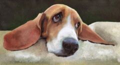 Hound by Theresa Hollins