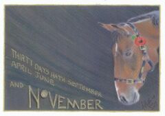 David. November by Teresa Hollins