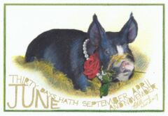 Piggie June by Teresa Hollins