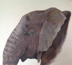 Nellie - Acrylics on canvas