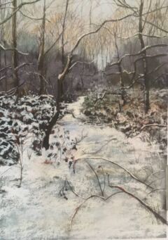 Path Through the Woods