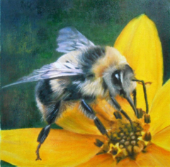 "HONEY BEE" - 7" x 7" - Acrylics on Canvas.
Winner of the ArtWaves Festival 2019 Open Exhibition Online Vote