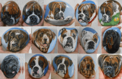 "COPPERFIELD ROCKS!" Acrylic paints on natural pebbles and rocks